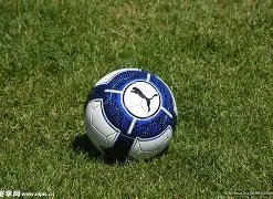 费成神之谜,揭晓,阿莫林演绎,牛彩网,体育赛事数据,足球比赛信息,篮球赛事平台,赛事资讯